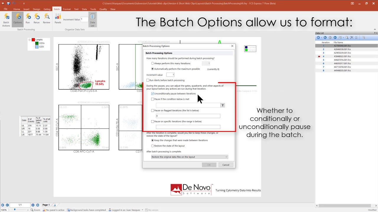 Batch Processing (Short video)