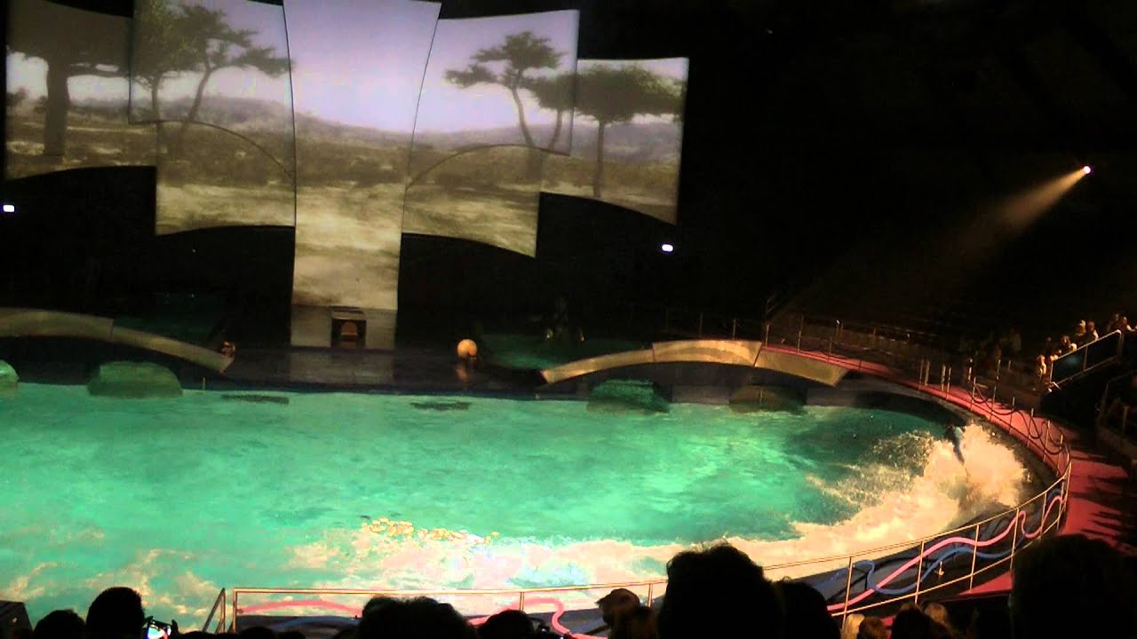 Aqua Bella - Dolfinarium 2014