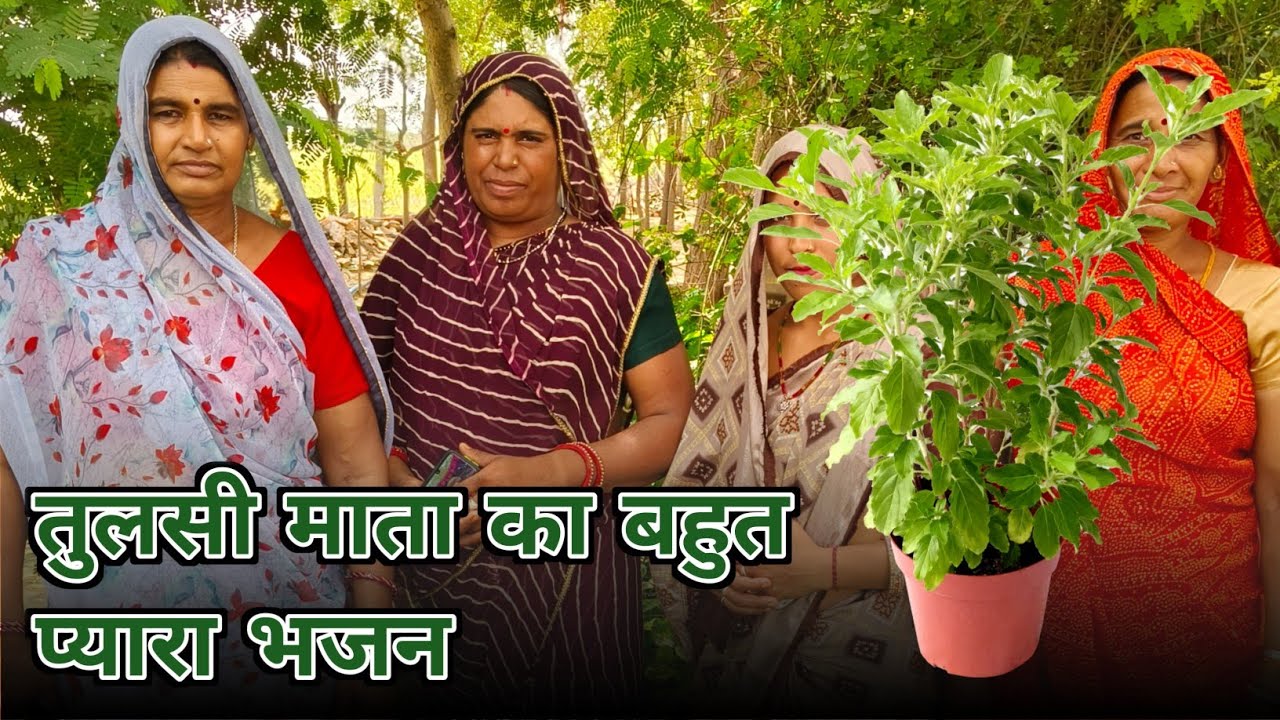 तुलसी माता गीत । तुलसी माता का बहुत प्यारा मारवाड़ी भजन । तुलसी भजन । रामसापीर