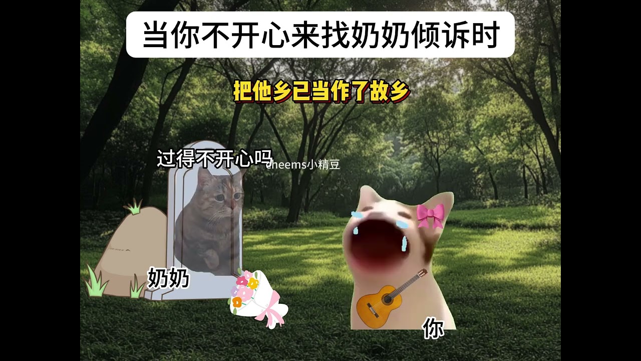 #到不了的地方叫远方窝窝 #猫meme #猫meme小剧场