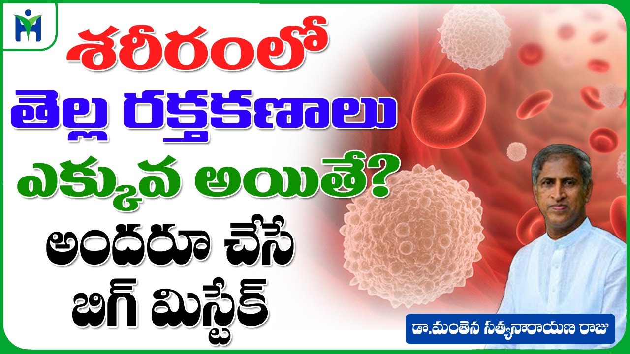 High White Blood Cell Count Causes in Telugu | Dr Manthena Satyanarayana Raju Videos | HEALTH MANTRA