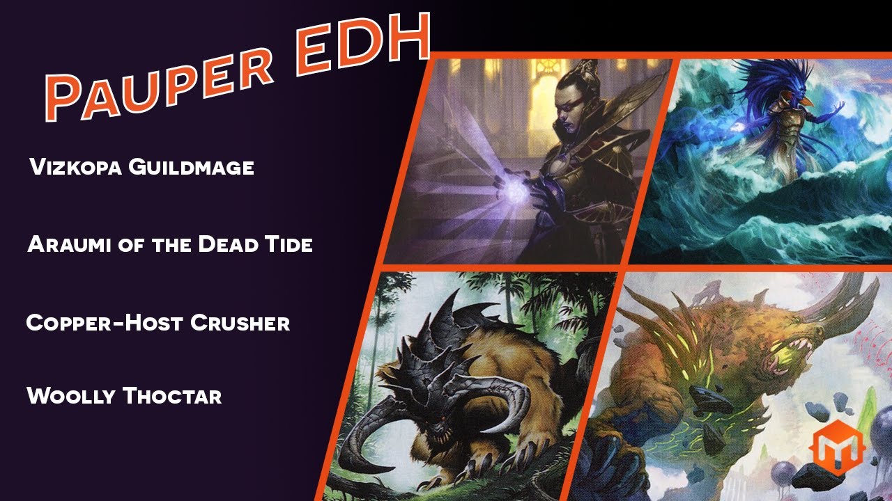 Pauper EDH - Vizkopa VS Araumi VS Copper Host VS Woolly Thoctar