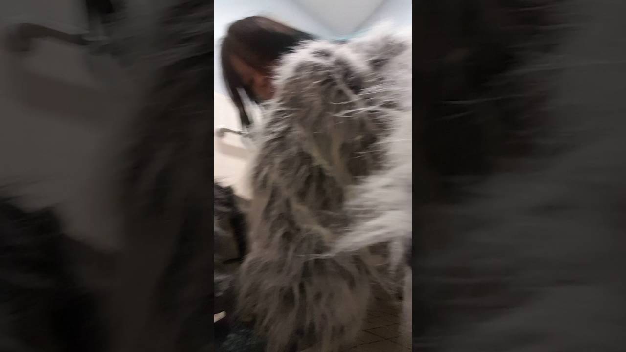 Wolf Suit Up Video 1