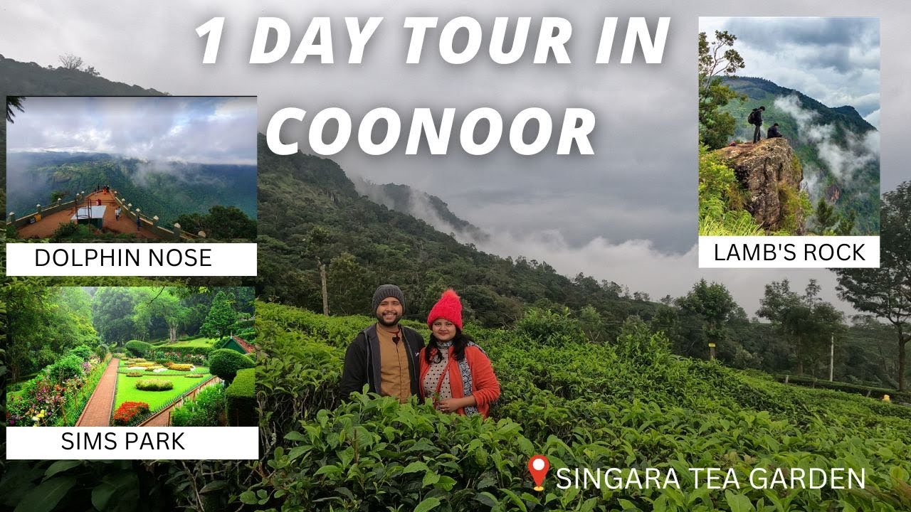 Ooty - Coonoor Vlog | Coonoor 1 Day Trip | SIMS PARK | LAMBS ROCK | DOLPHIN NOSE | TEA GARDEN