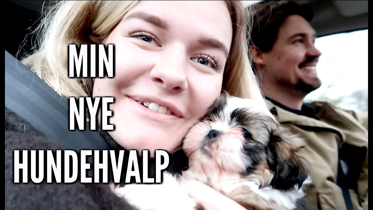 JEG HENTER MIN NYE HUNDEHVALP