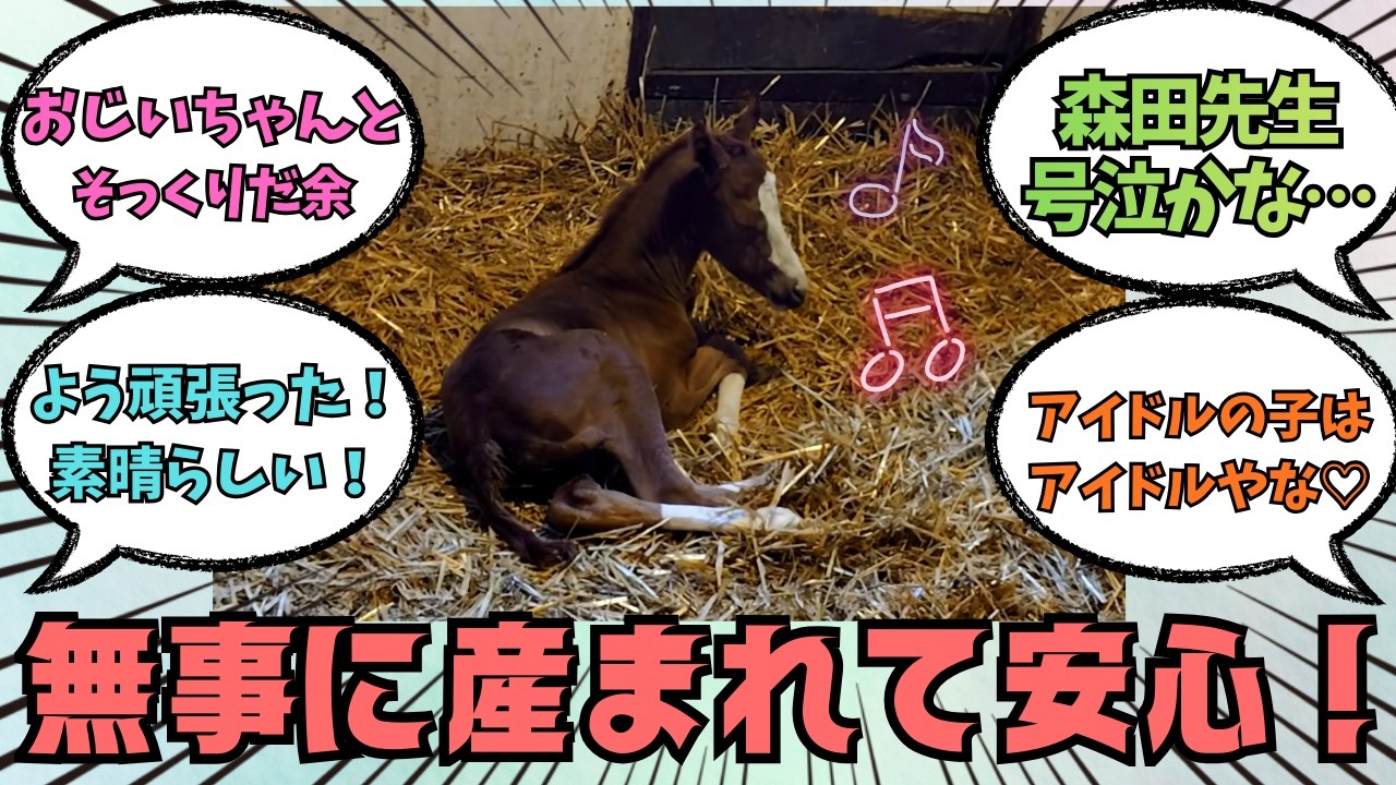 【メロディーレーン】朗報！！無事に初仔を出産！！に対する競馬好きの反応【競馬の反応集】