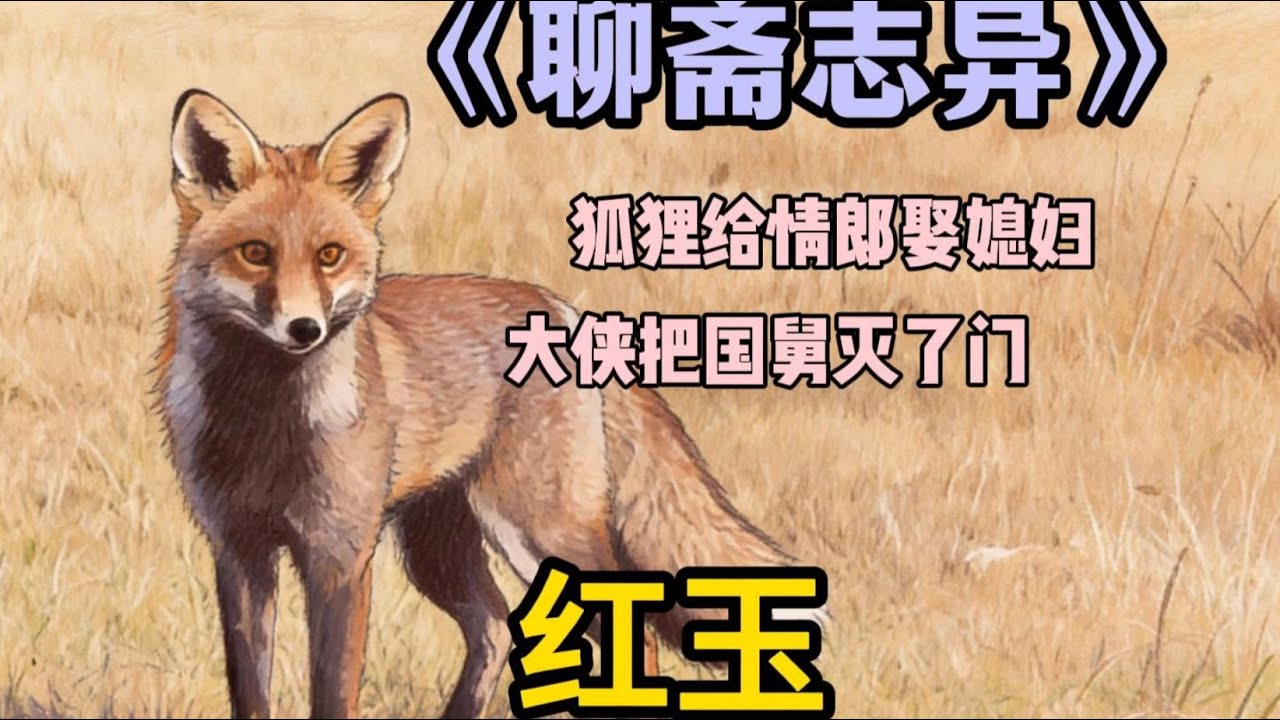 狐狸给情郎娶媳妇《聊斋志异》原著讲述#聊齋誌異 #中國古典文學 #蒲松齡 #文言小說 #鬼怪故事