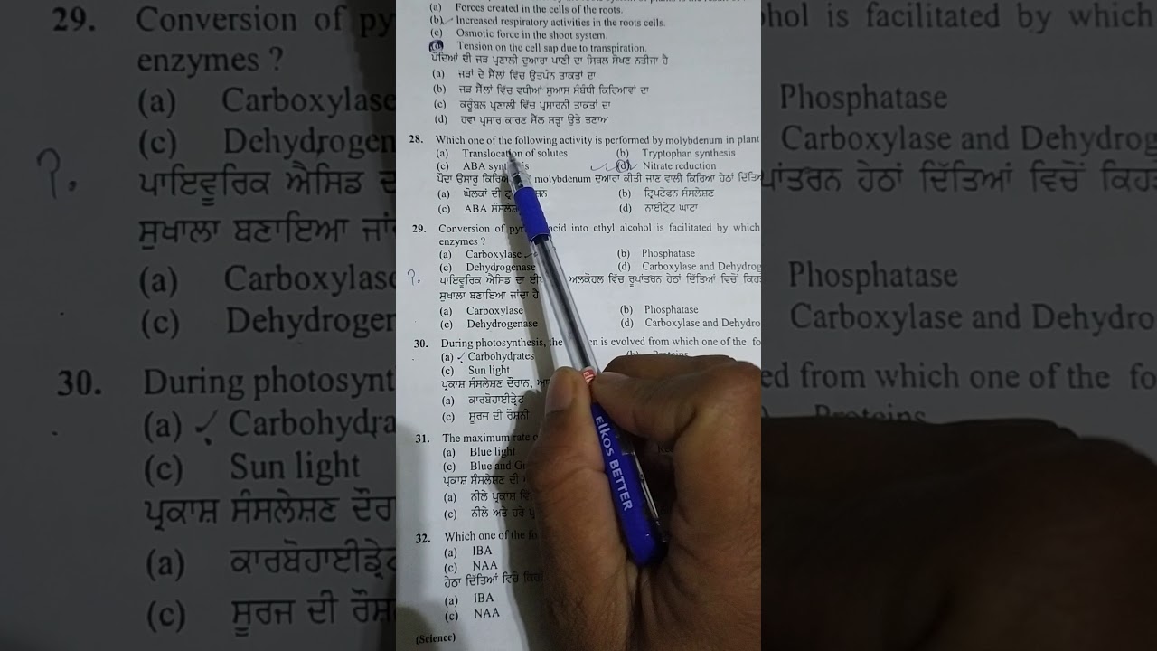 master cadre 6060 botany solution