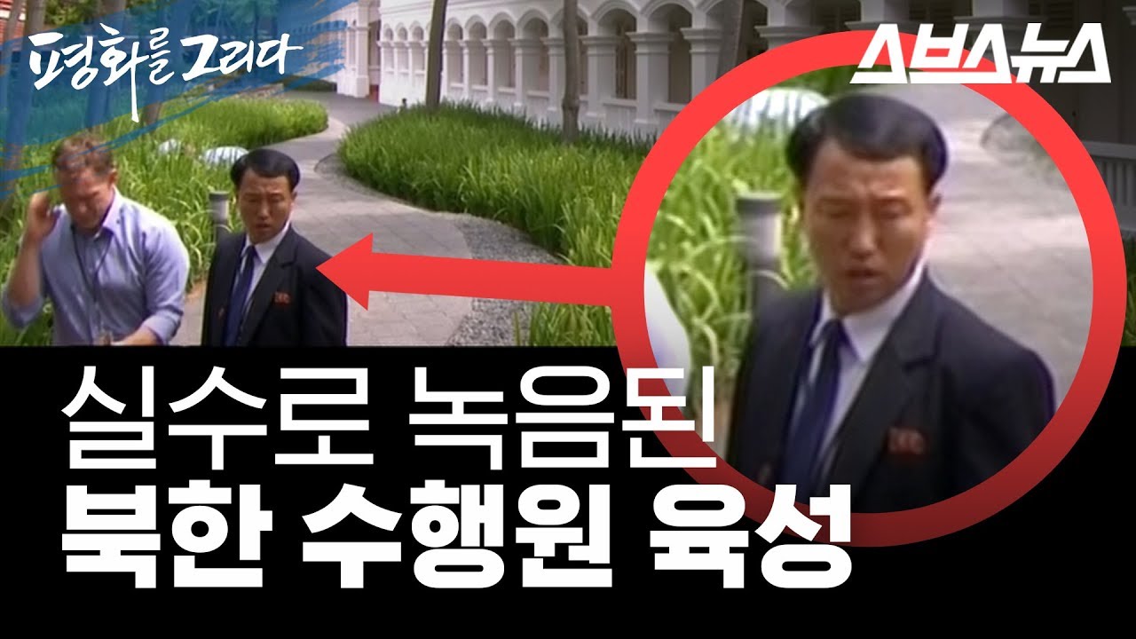 실수로 녹음된 북한 수행원 육성