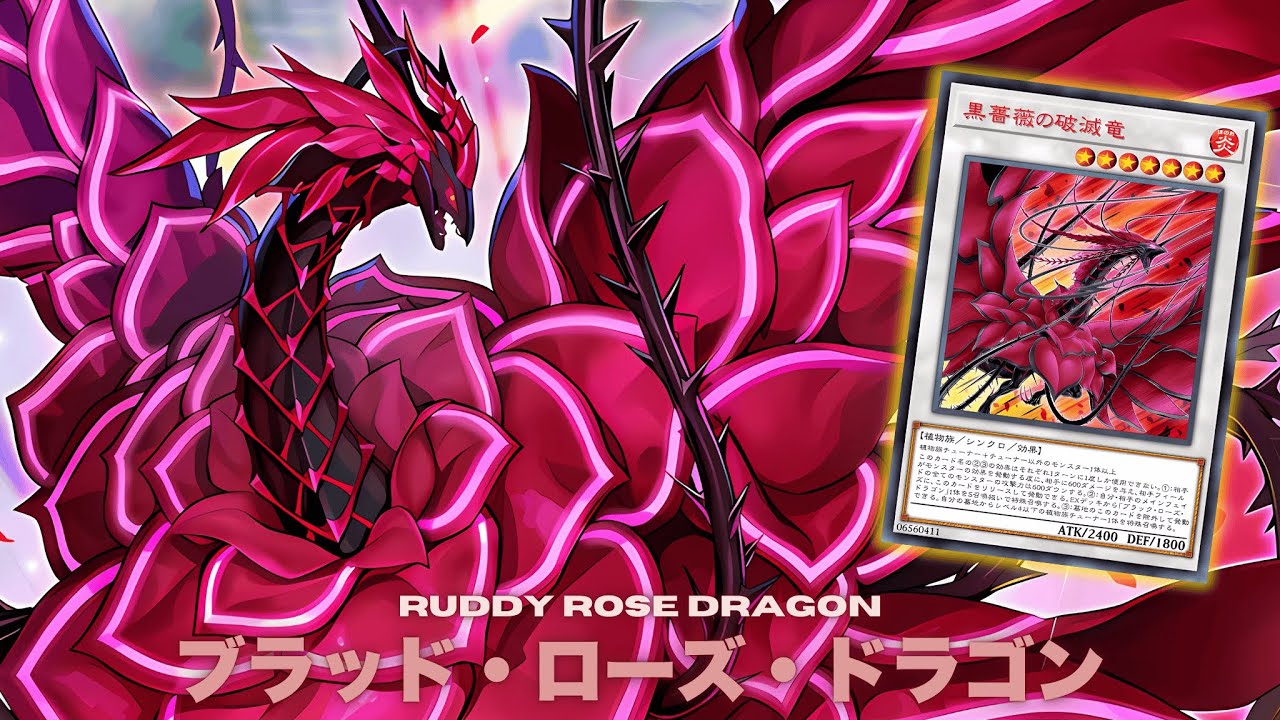 ULTIMATE BLACK ROSE   ! Ruddy Rose Dragon DECK FT. BRAMBLE ROSE DRAGON  - Yu-Gi-Oh