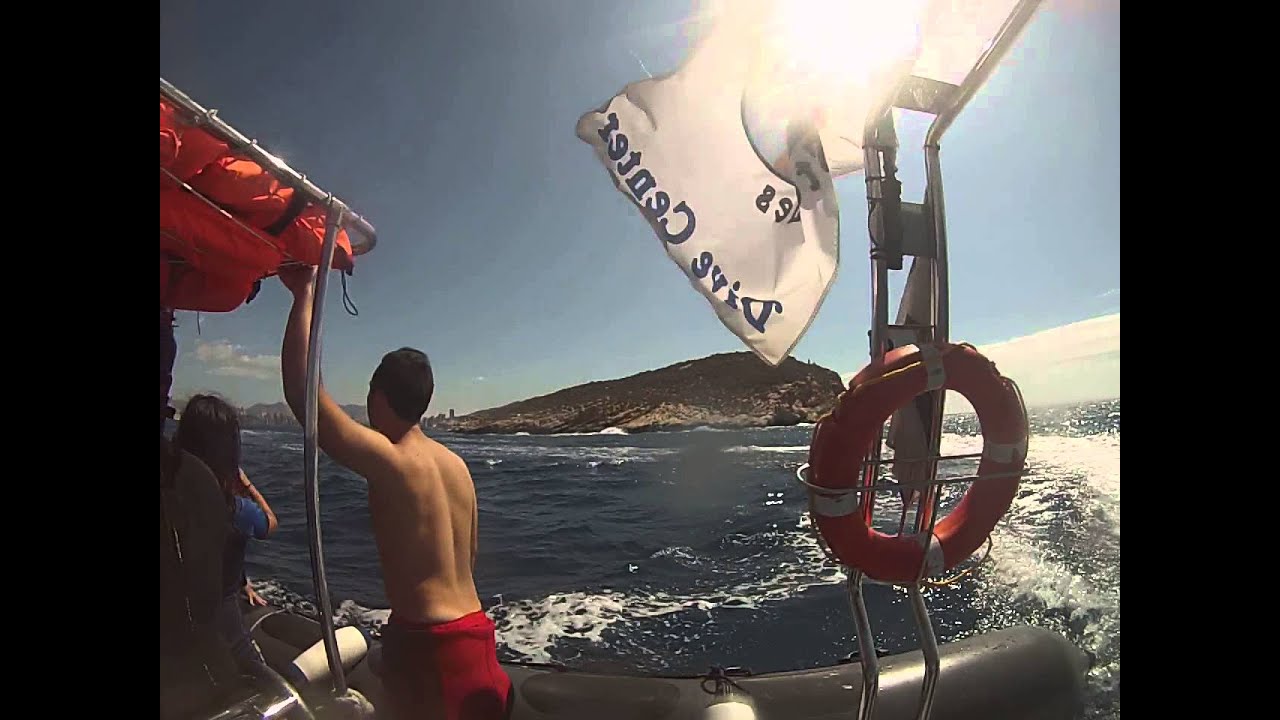 DELFINES EN LA ISLA DE BENIDORM CON DIVING STONES