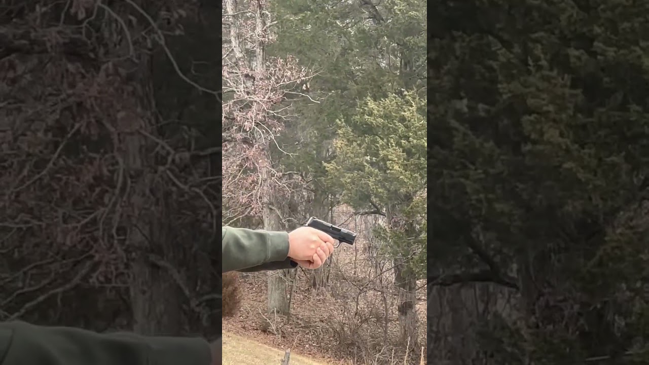 Primeros Disparos Nueva Wilson Combat/Sig Sauer WCP365