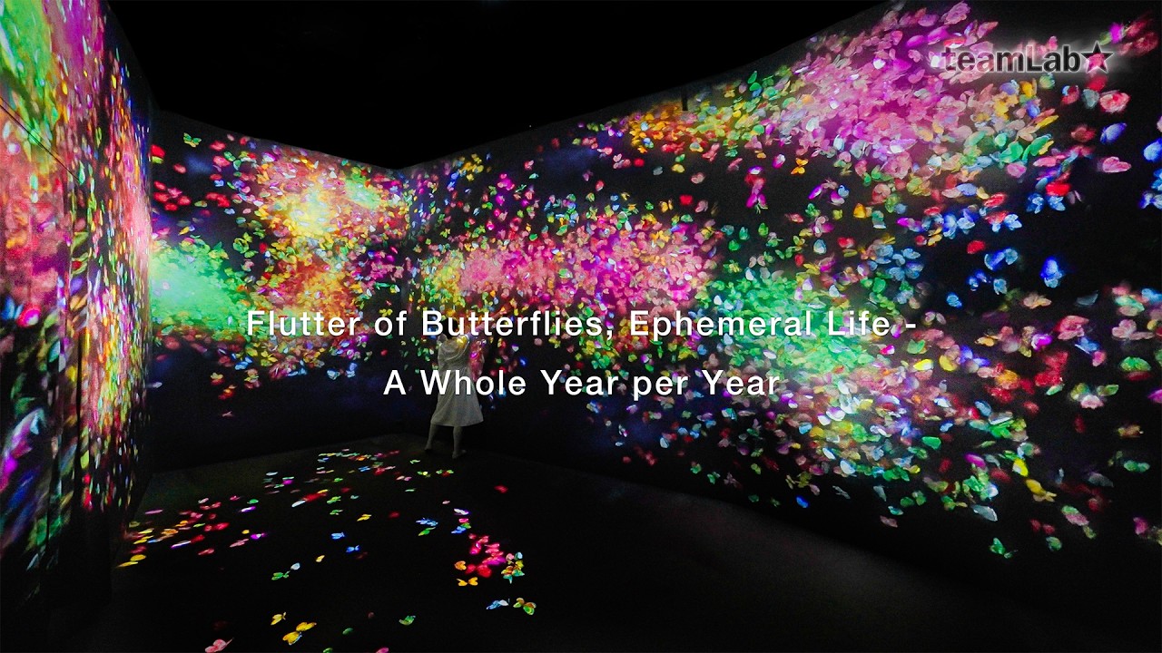 Flutter of Butterflies, Ephemeral Life - A Whole Year per Year