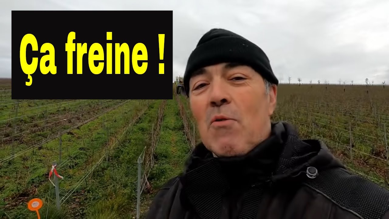 Des freins neufs pour le Renault 891 et épandage engrais vigne.