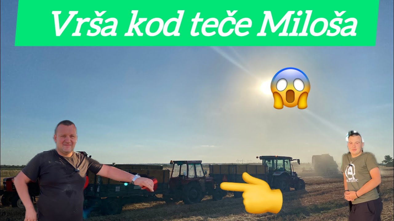 PRINOS REKORDAN 8T PO HEKATRU (ZETVA KOD TECE MILOSA)