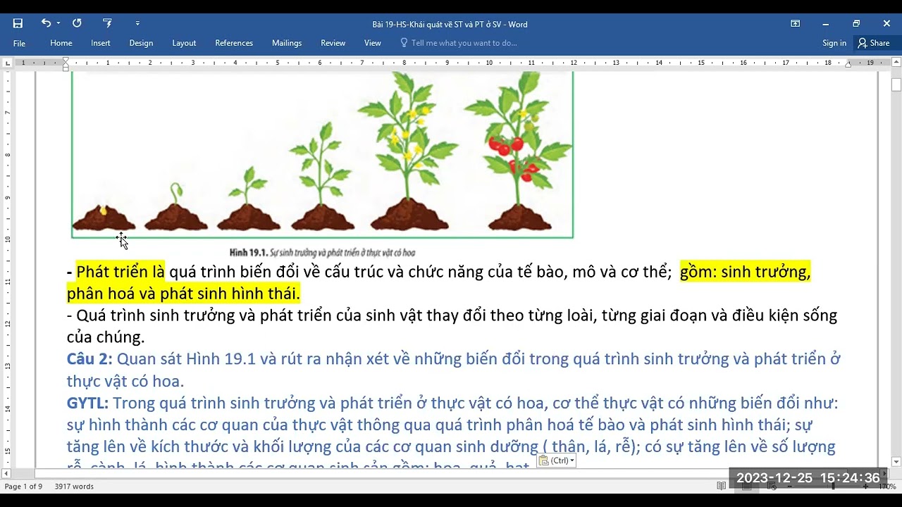 Sinh 11-Bài 19-Khái quát về sinh trưởng và phát triển ở sinh vật