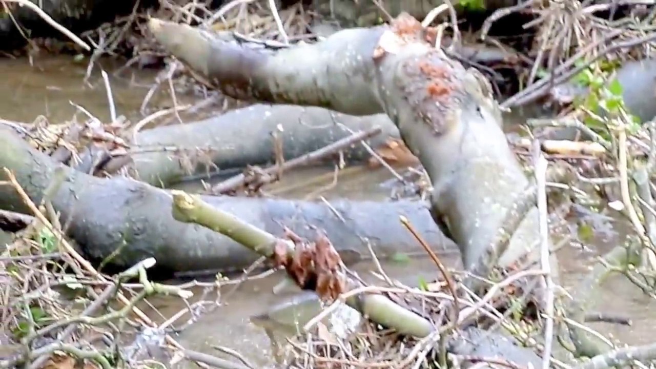 Ayrshire's Lost History - Kerelaw Glen, Stevenston