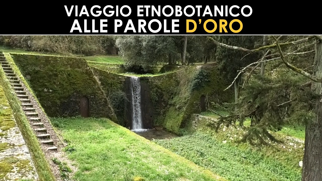 DIVINA FLORA - Piante nel contesto naturale delle Parole d'Oro