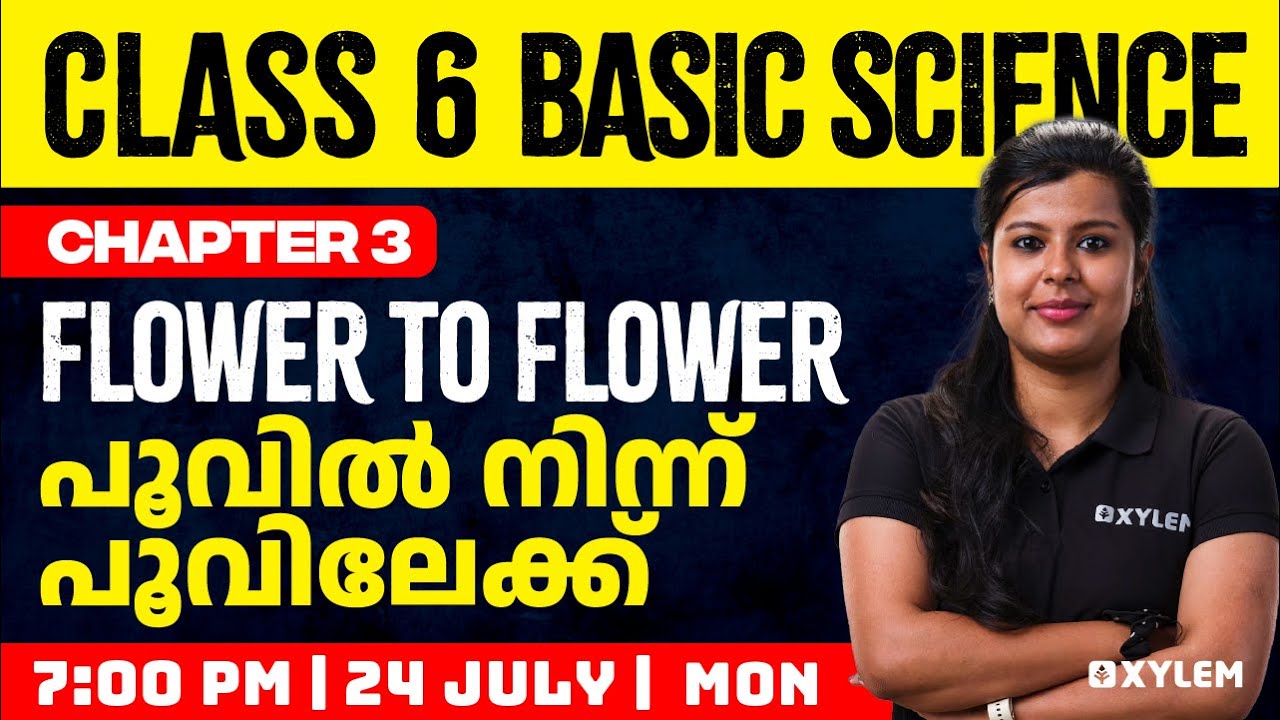 Class 6 Basic Science | Chapter 3 - Flower To Flower / പൂവിൽ നിന്ന് പൂവിലേക്ക് | Xylem Class 6