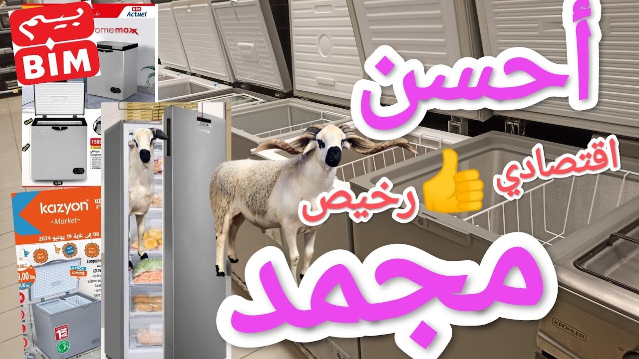 📣 عنداك تشمت في كونجيلاتور 😰 معلومات عن المجمد 🤩 بيم و كازيون
