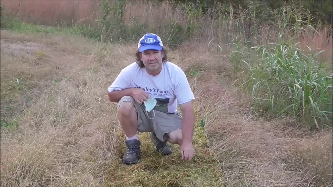 BCS RollerBlade Flail mower