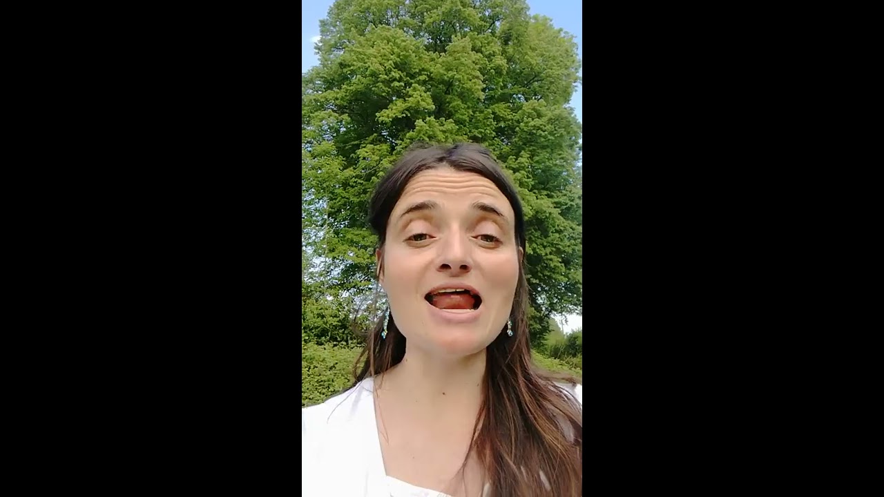 Comptine confinée du dimanche N°1: la laine des moutons