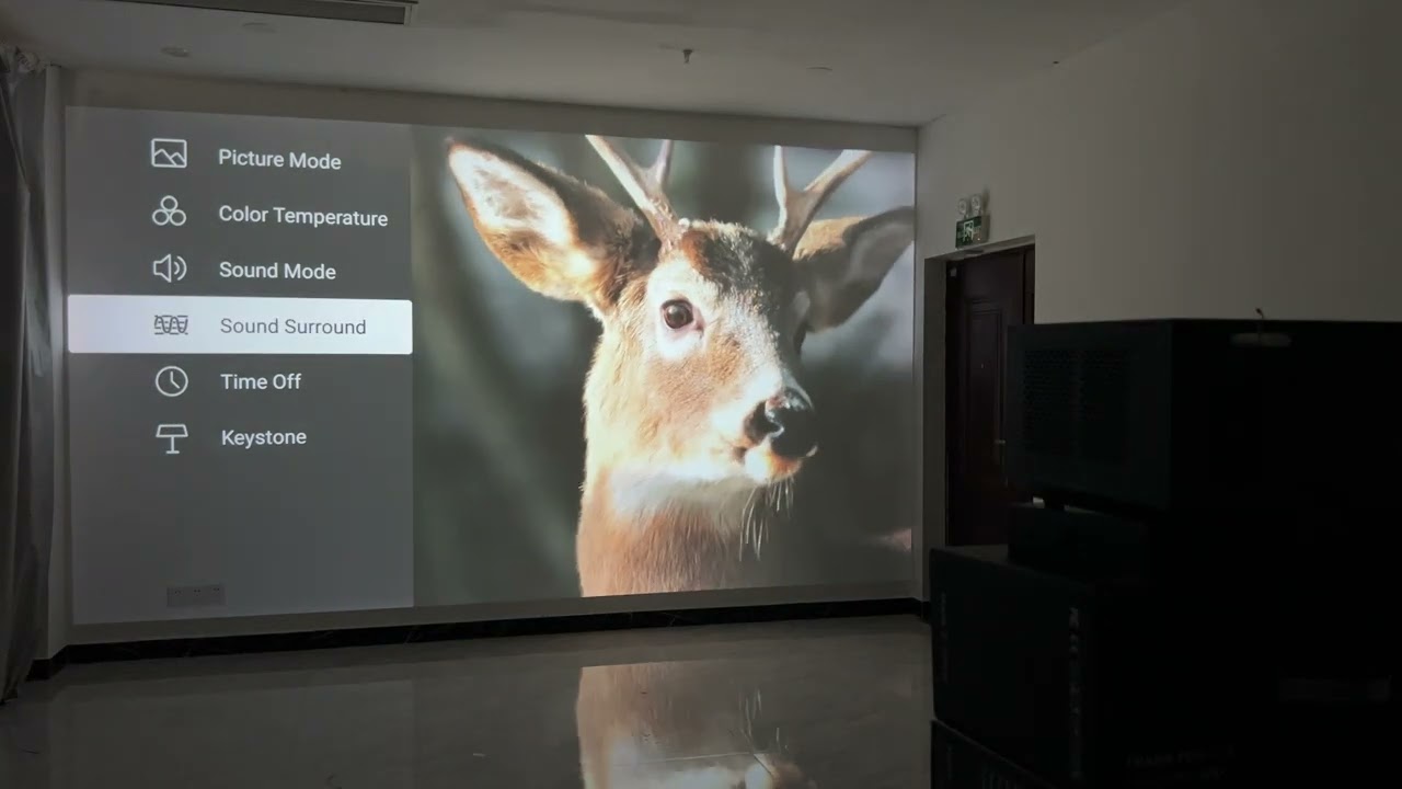 Everycom RD829 projector, 4K, HDR