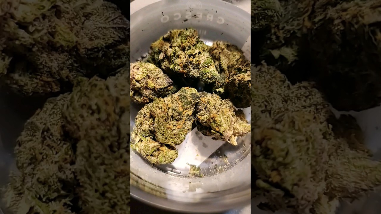 APPLE STACKS By CRESCO! Full Review is up now!