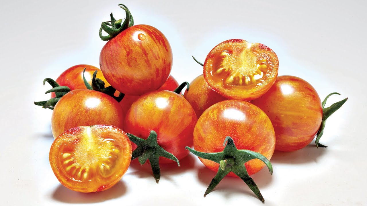 Tomate F1 Tropical Sun