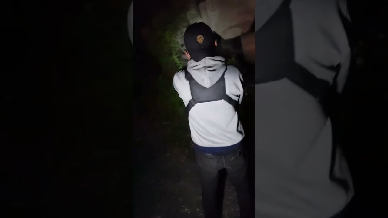 collab di pilat