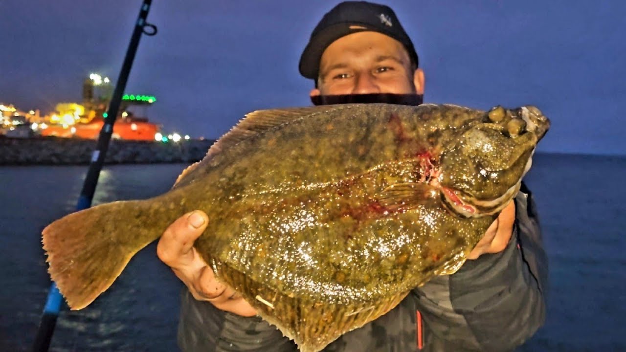 Monster Plattfisch beim Nachtangeln an der Ostsee #angeln #fishing #ostsee #outdoors #survival