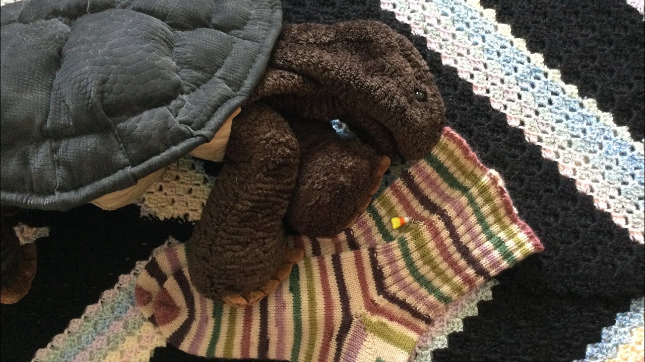 Liz’s Fiber Crafting Nook Episode 31: Toy Reupholstering, Socks and more!￼
