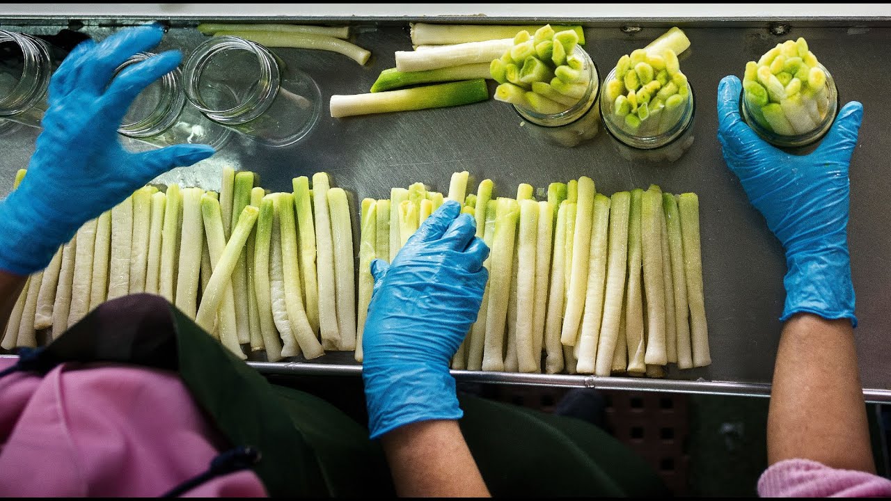 Espa&ntilde;a en conserva: Navarra