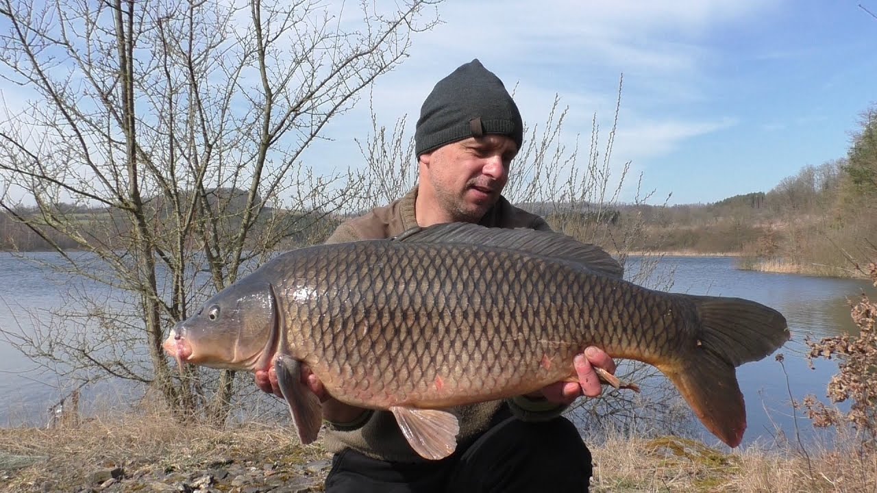Video pamietnik nr.104 zasiadka 2025 karpiowanie ryby amur wedkarstwo karpfenangeln  carphunting
