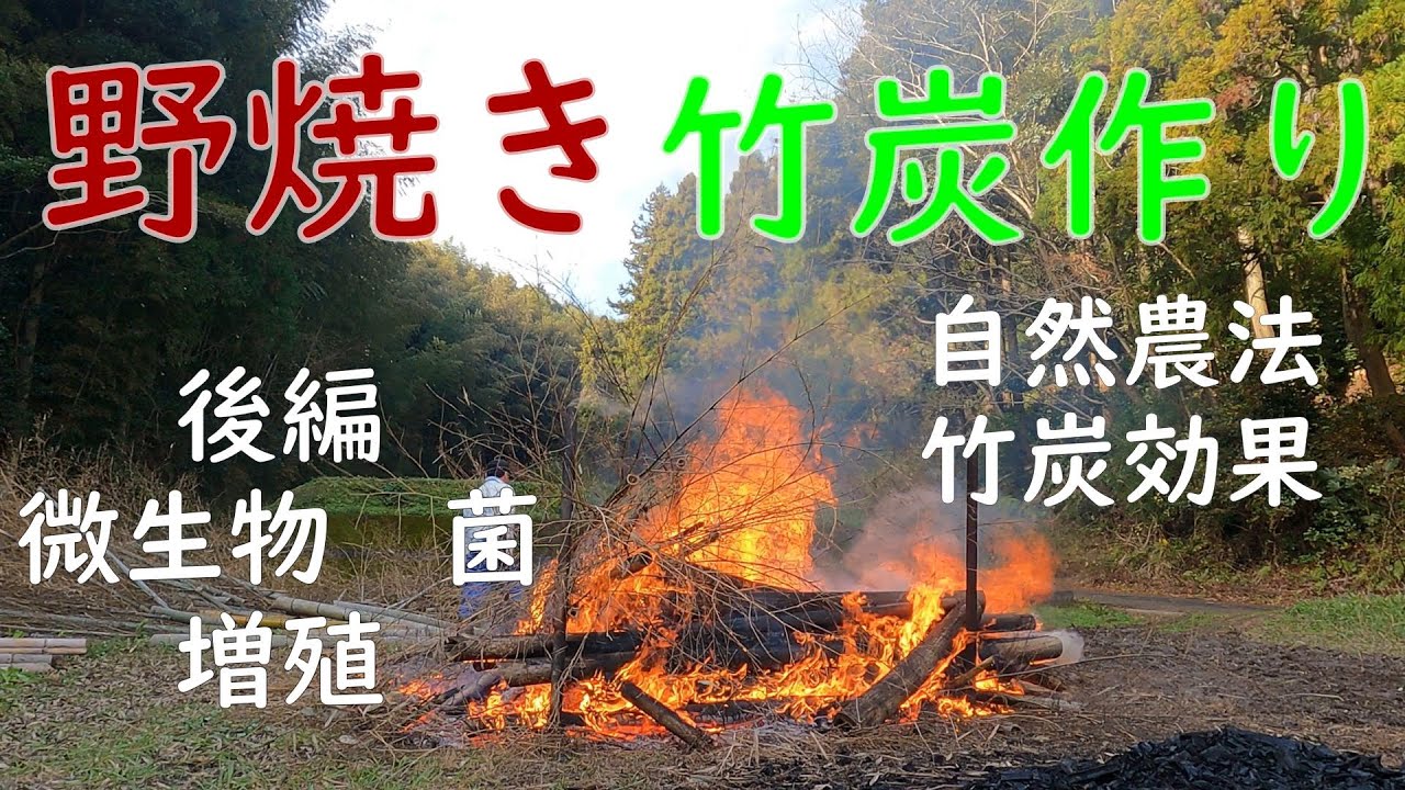 竹林奮闘記185  　竹炭肥料作り　後編竹林管理整備　　野焼き　竹炭効果