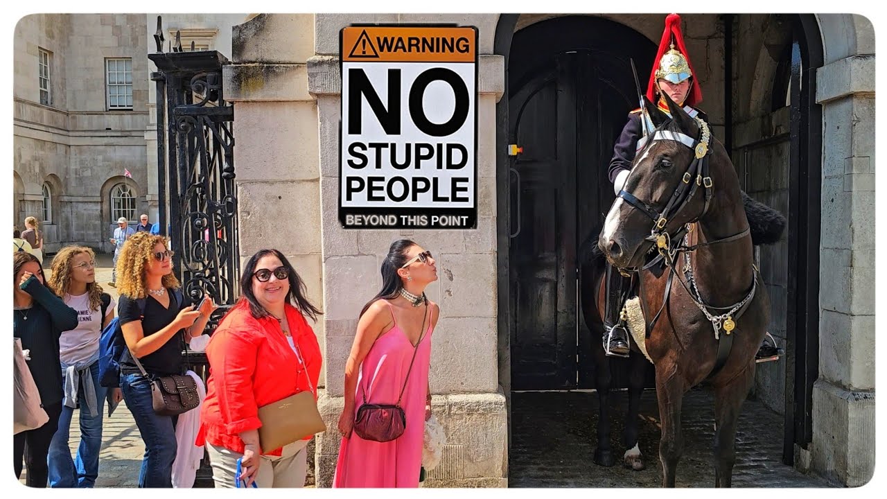 We Are BACK... and CLUELESS Tourists Upset The Guard!