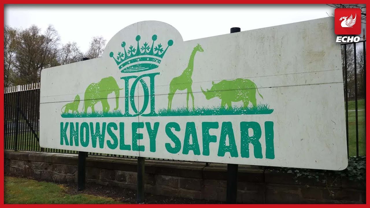 Knowsley Safari Park welcomes adorable new animal