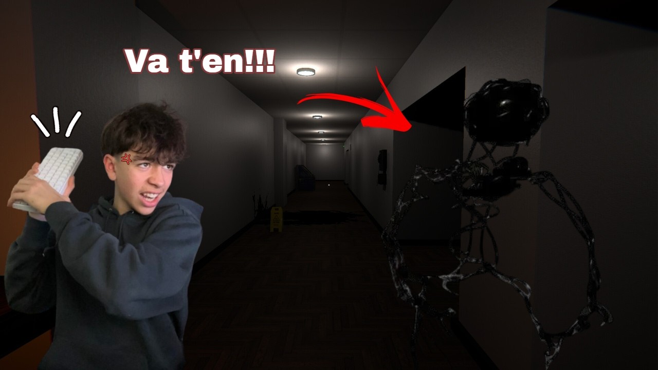 Je n’étais PAS seul dans ce jeu… (LOST IN ANOMALY)