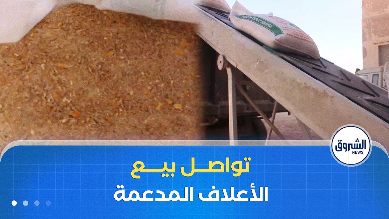 تواصل عملية بيع الأعلاف المدعمة في ولاية النعامة وسط استحسان الموالين