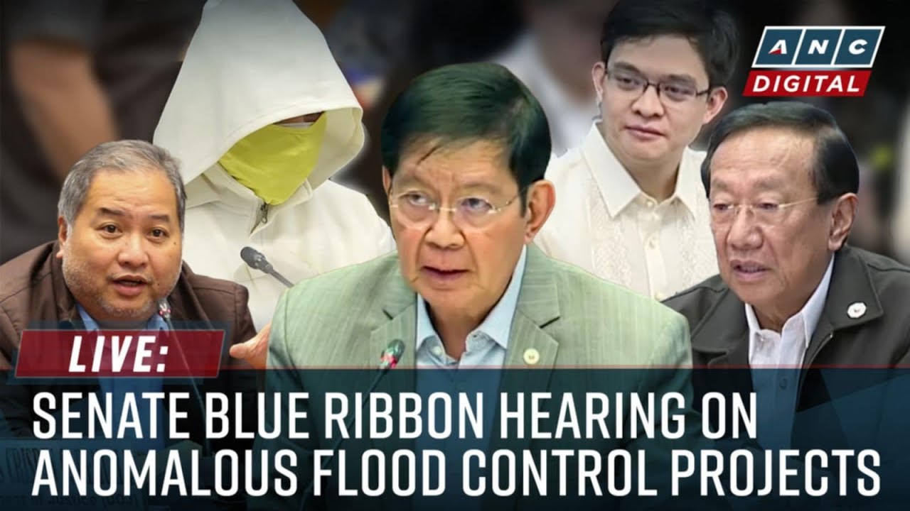 Live: Senate Blue Ribbon Committee hearing on flood control anomalies | January 19