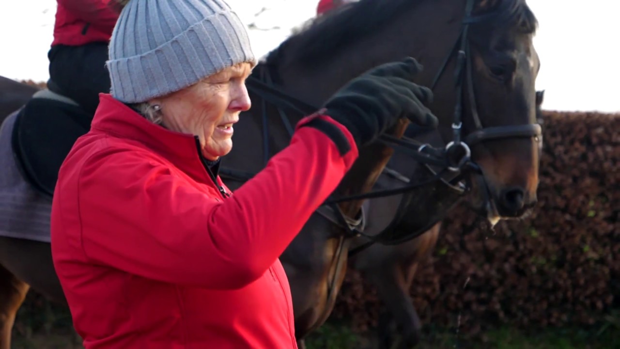 Arion Racing Club | Racehorse Ownership