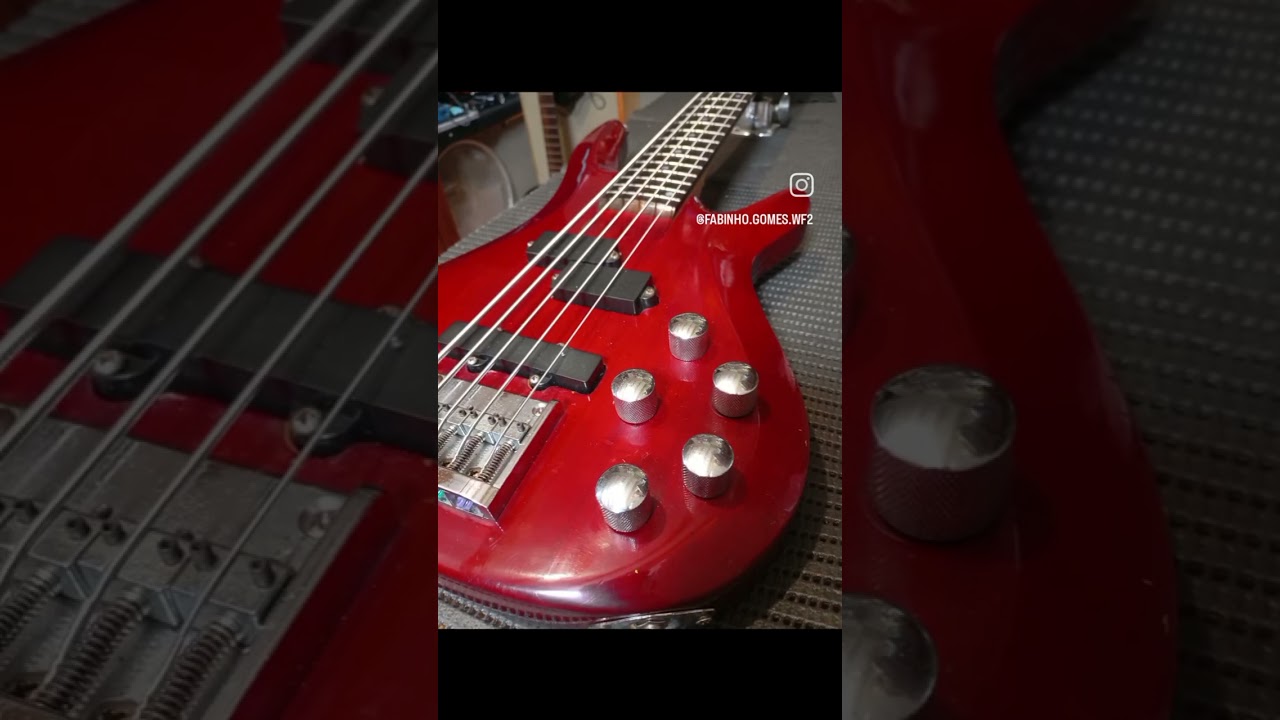 #luthier