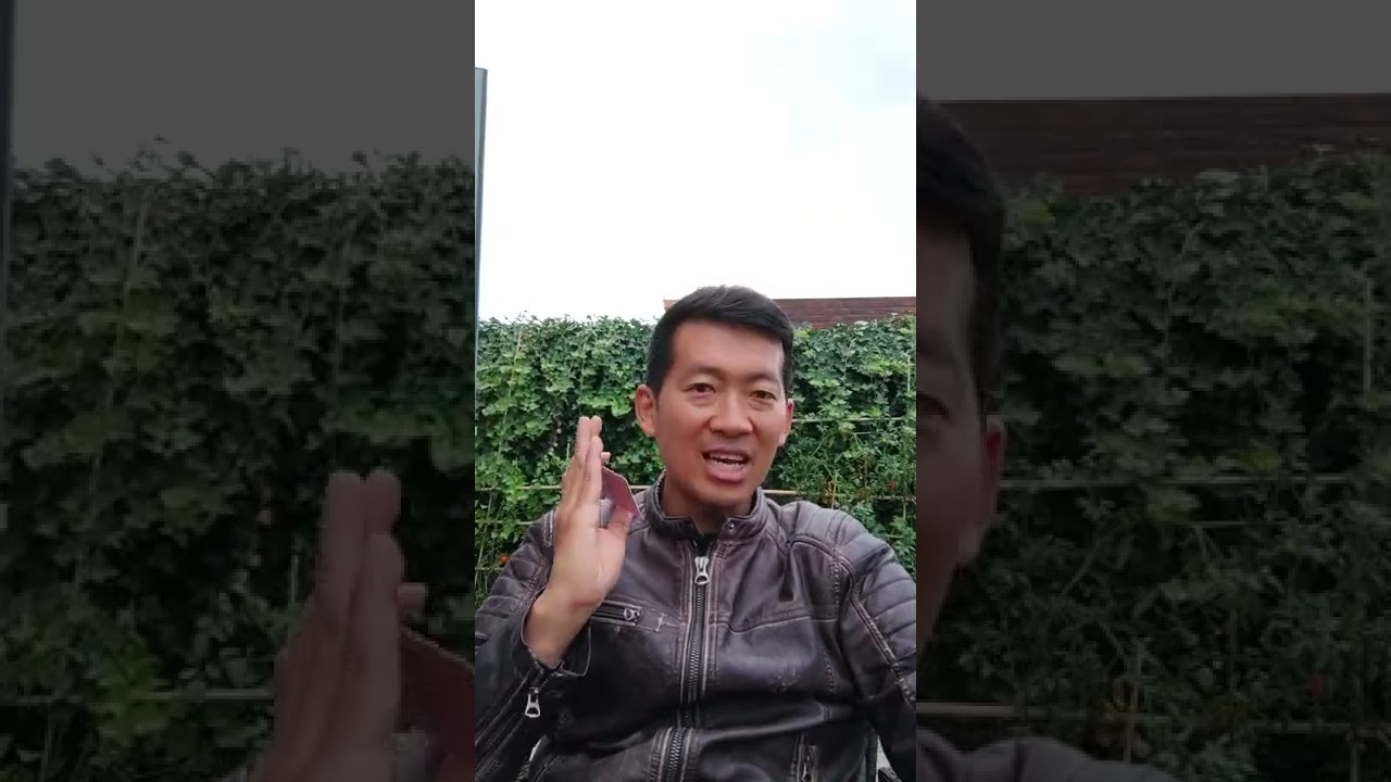 ประสบการณ์ การสอบใบขับขี่เนเธอร์แลนด์