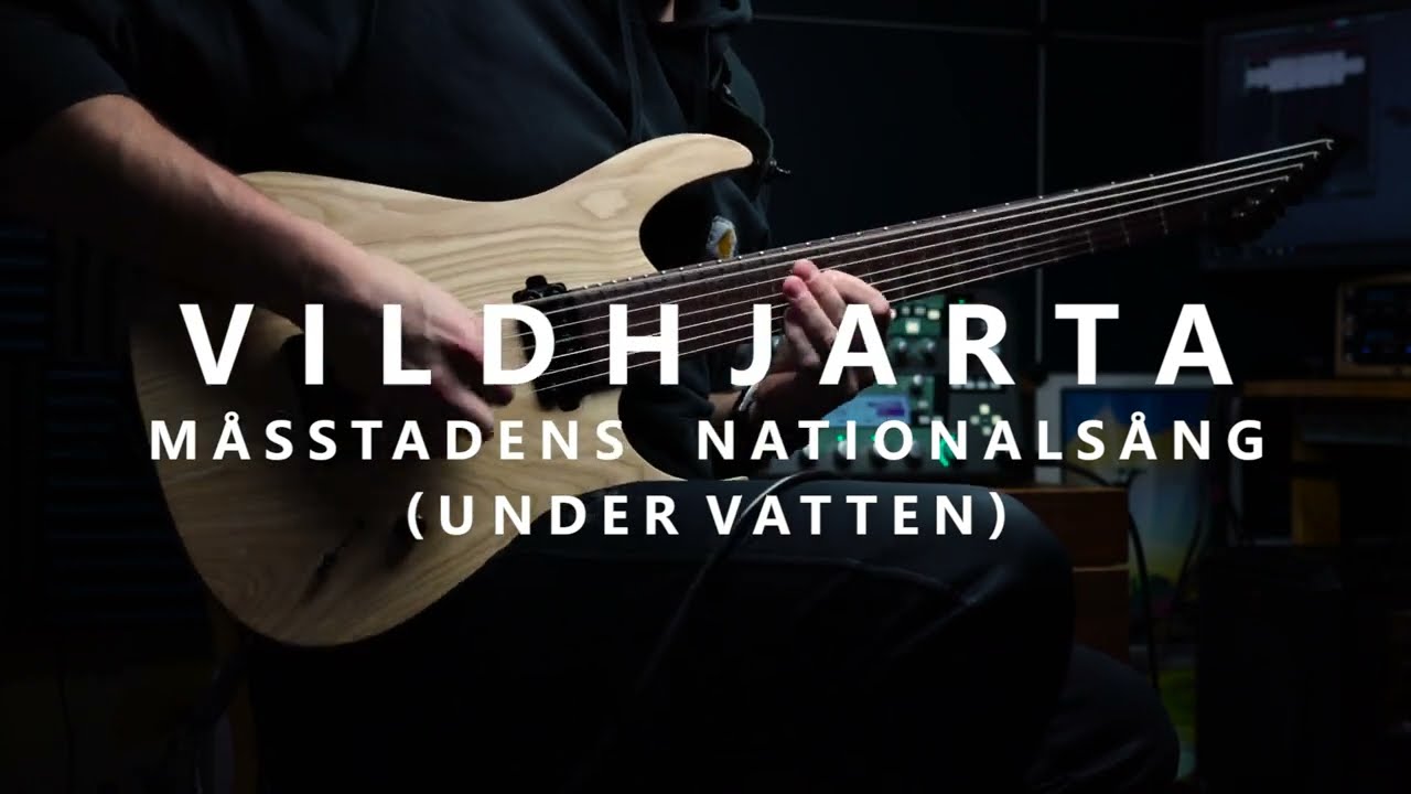 Vildhjarta - Måsstadens Nationalsång (Under Vatten) (Guitar Cover)