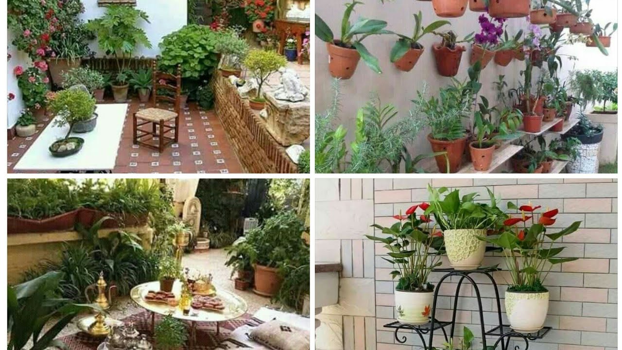 ديكورات حديقة المنزل (الحوش) و ترتيب محابس النباتات المنزلية