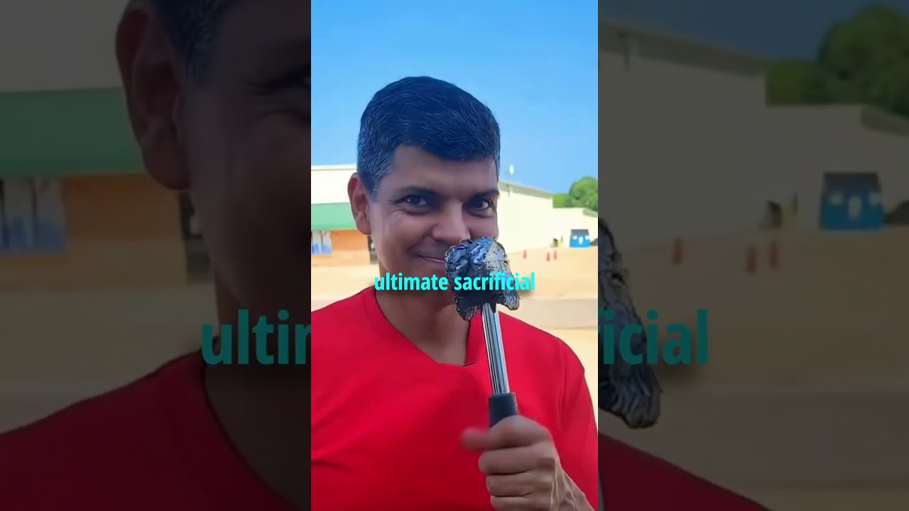 Самый мягкий молоток в мире