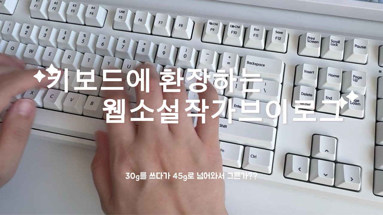 웹소설 작가 브이로그 | 키보드 충동 구매 멈춰 | 리얼포스r4 개봉기 | 합천여행