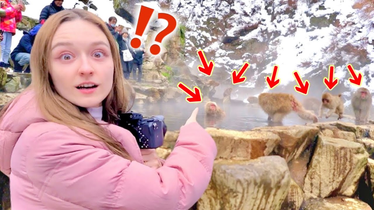 Даже японские снежные обезьяны купаются в горячих источниках?! *Так мило!* | туристический видеоблог