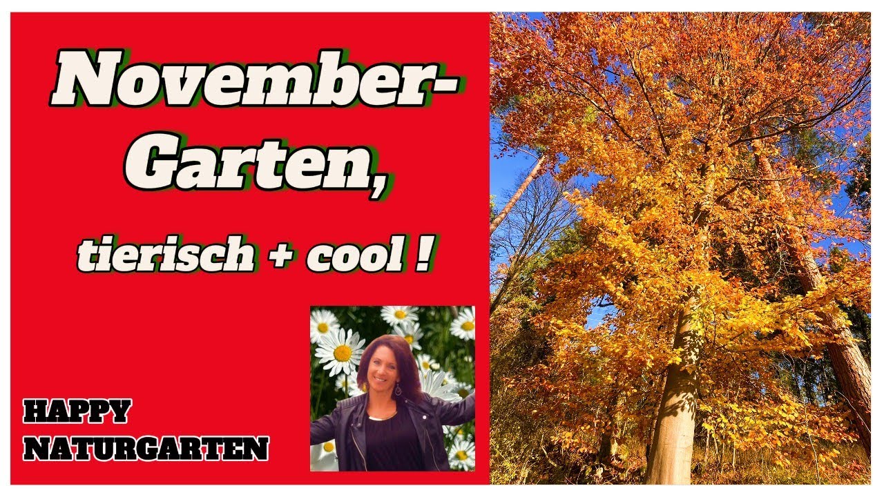 Naturgarten: Let`s go wild! 