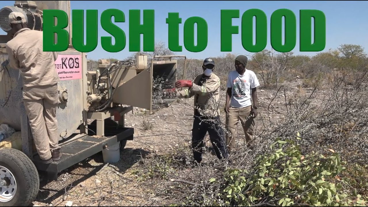 BUSH to FOOD - Namibia